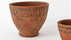 Portfolio Image