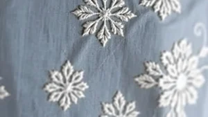 Portfolio Image